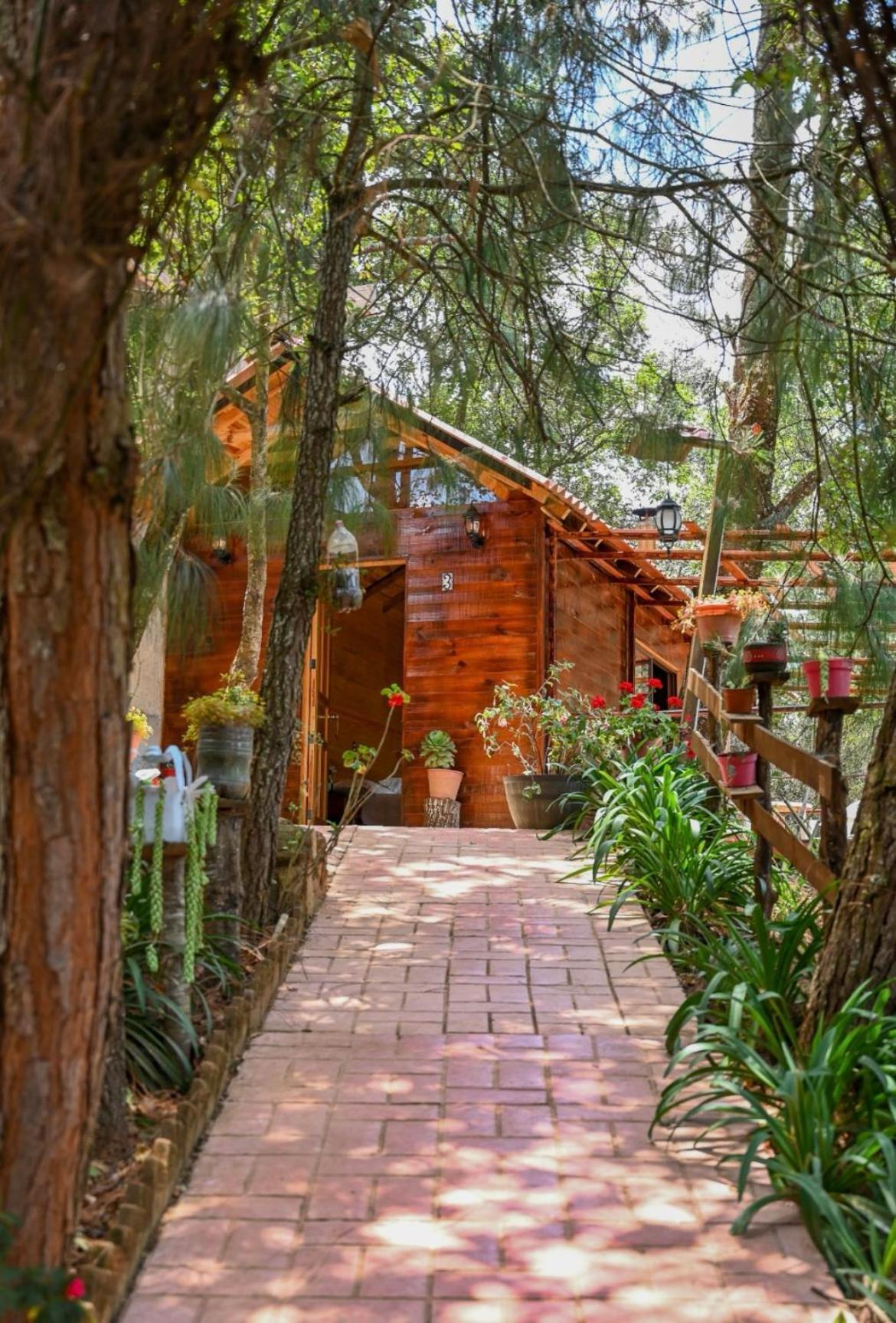 San Jose Del Pacifico- Cabanas Camino Al Cielo 3 外观 照片