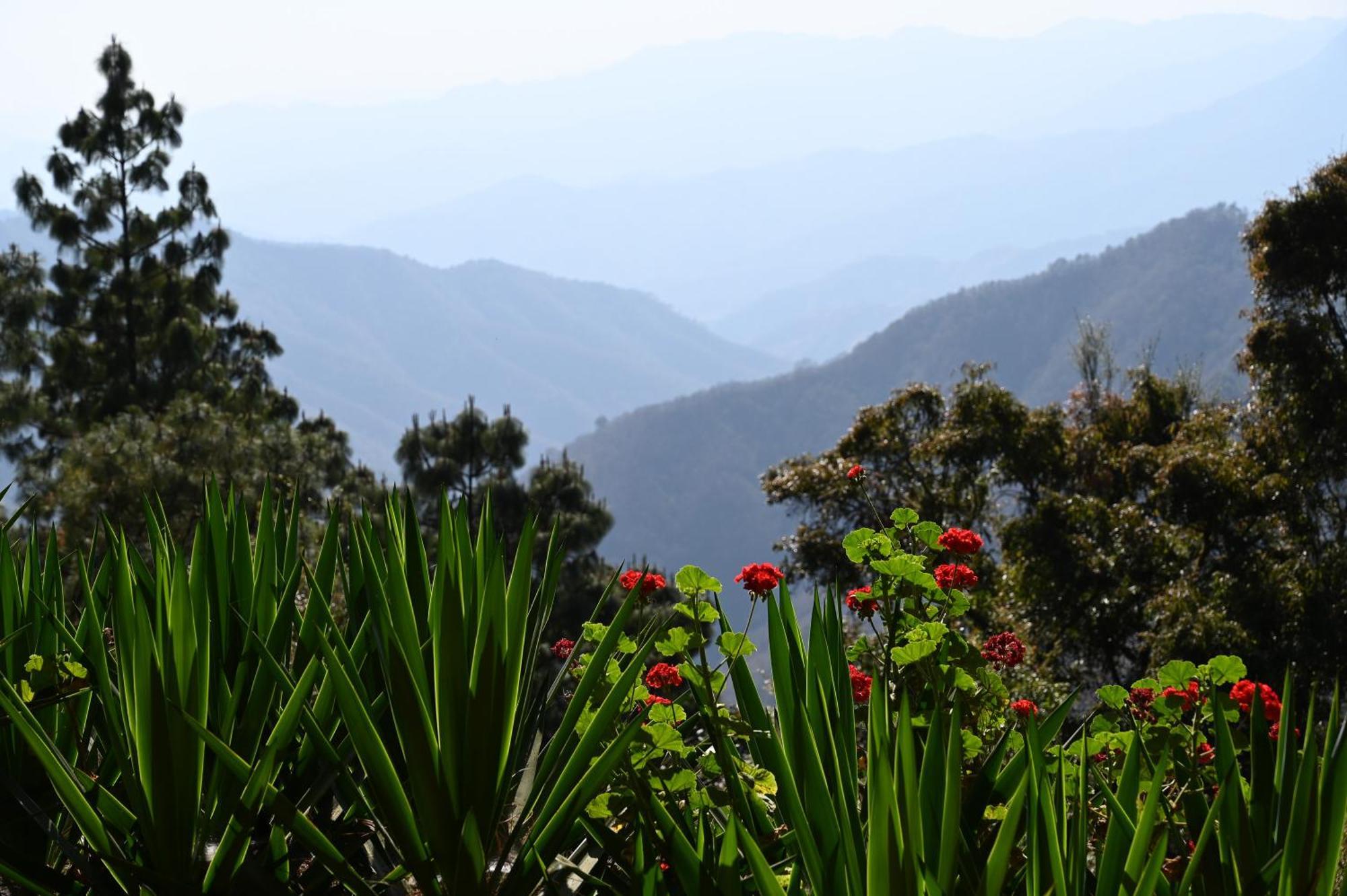 San Jose Del Pacifico- Cabanas Camino Al Cielo 3 外观 照片